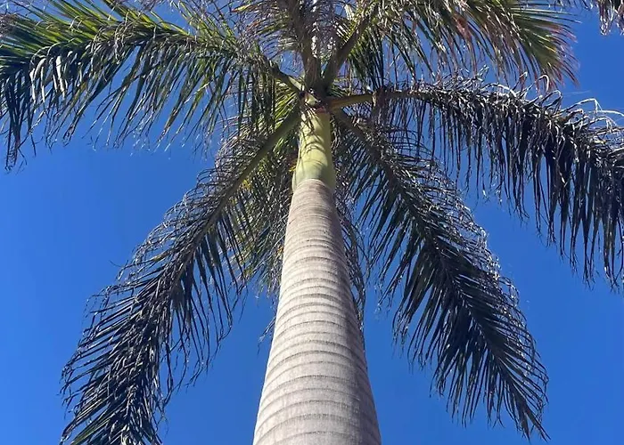 ヴィラ Turquesa 3 Fuerteventura